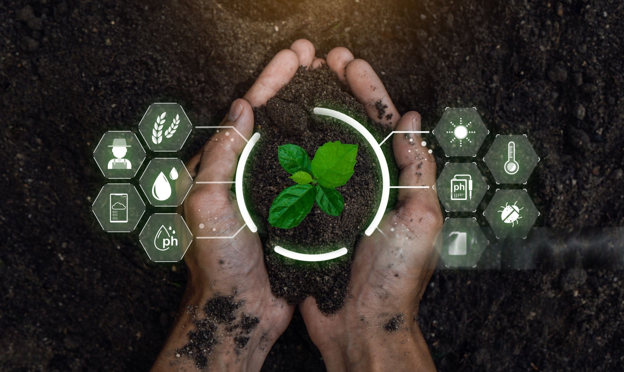 Sustainable Agriculture